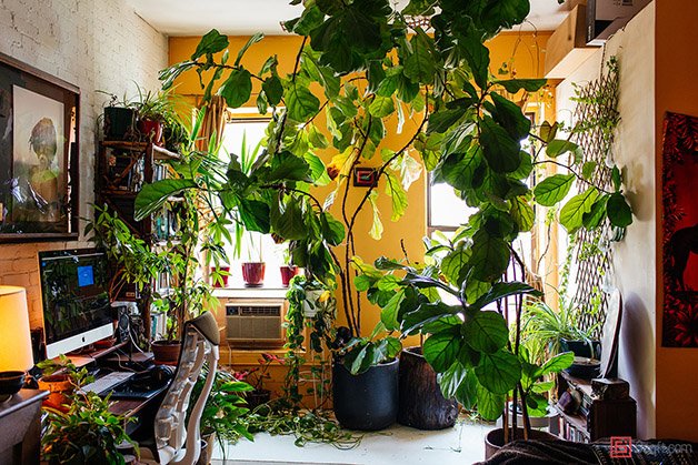 Summer-Rayne-Oakes-Plant-Filled-Apartment-in-Williamsburg-Brooklyn-bedroom-office-3