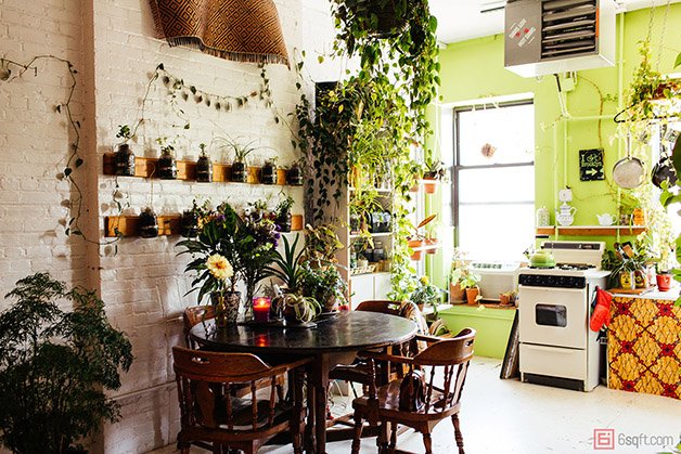 Summer-Rayne-Oakes-Plant-Filled-Apartment-in-Williamsburg-Brooklyn-kitchen